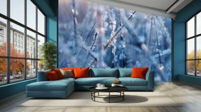 beautiful natural background with transparent ice crystals and frost shining and shimmering in the morning sun strung like beads on the grass Wall mural