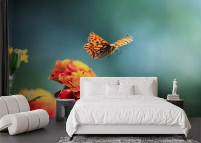 beautiful pearlescent orange leopard butterfly flutters in the summer garden over fragrant flowers Wall mural