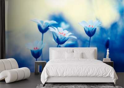 beautiful the first natural background with delicate white flowers grow in spring sunny park Wall mural