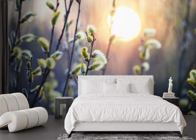 beautiful willow branches with fluffy yellow buds blossomed in spring warm day on the background of sunset Wall mural