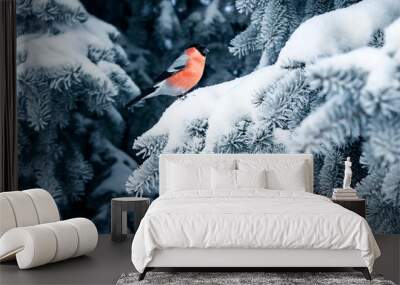 bird a red bullfinch sits on the branches of a spruce tree covered with frost in a winter Christmas Park Wall mural