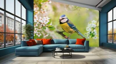 bird tit sits in a blooming spring garden on a sunny day and sings a song Wall mural