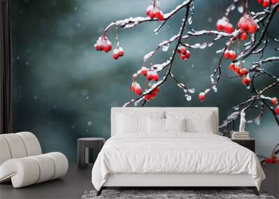 bright red Rowan berries in the garden are covered in raindrops and crystal snow Wall mural