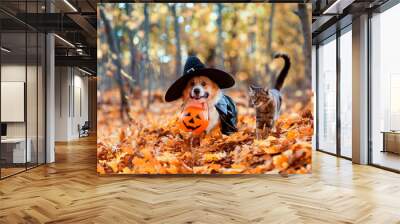 cute corgi dog in fancy black hat and striped cat sitting in autumn park with pumpkin for halloween Wall mural