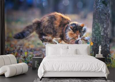 cute fluffy cat playing in the garden with caught by a mouse among fallen leaves and grass on a Sunny autumn day Wall mural