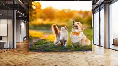 cute fluffy friends a cat and a dog catch a flying butterfly in a sunny summer garden Wall mural