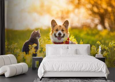 cute fluffy friends a corgi dog and a tabby cat sit together in a sunny spring meadow Wall mural