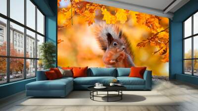 cute portrait with beautiful fluffy red squirrel sitting in autumn Park on a tree oak with bright Golden foliage Wall mural