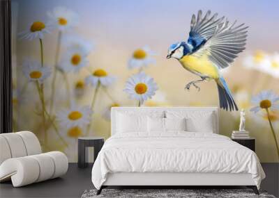 little bird tit flies to over white flowers daisies on a Sunny summer meadow Wall mural