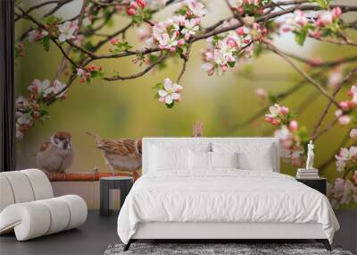 little funny birds and birds chicks sit among the branches of an apple tree with white flowers in a sunny spring garden Wall mural