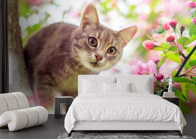 portrait a cute tabby kitten sits among the blooming pink branches of an Apple tree in a Sunny may garden Wall mural