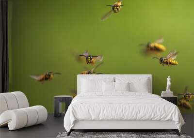 swarm of dangerous insects striped wasps flying against the backdrop of a green garden Wall mural