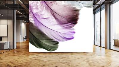 the natural backdrop of the many beautiful natural bird feathers of various colours on white Wall mural