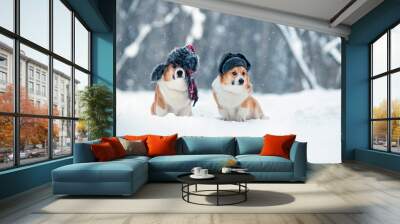 two funny brothers of the Pembroke corgi dog are sitting in a winter park in earflaps Wall mural