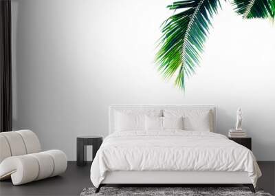 palm leaf branch or green leaf of coconut, tropical tree plant composition pattern isolated above white background Wall mural