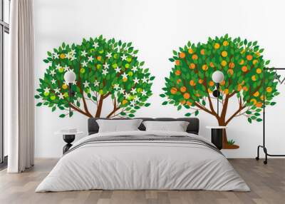 Tangerine tree in bloom and with ripe fruits isolated on white. The tree is strewn with white flowers. Bright orange fruits on the branches of a tree. Flat vector illustration. Wall mural