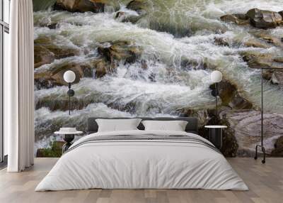 Flowing water of a mountain river. Wall mural