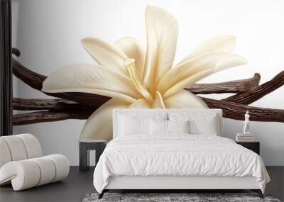 A beautifully detailed image of a white lily surrounded by several dark vanilla pods. Wall mural