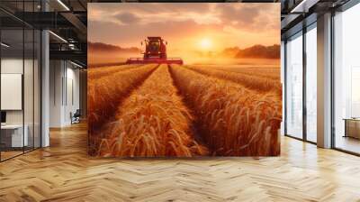 A picturesque scene of rye being harvested by modern machinery under the setting sun, Wall mural