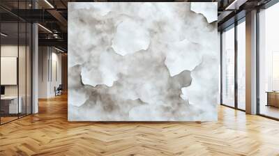 Abstract watercolor texture with irregular gray and white color patterns, mimicking clouds or marble, creating a soft and organic background design. Wall mural