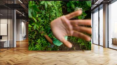 African american kid pointing with his hand. Wall mural