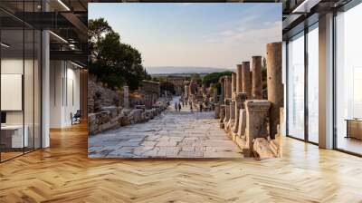 Ancient ruins of Ephesus Archaeological Museum, Izmir, Turkey  Wall mural