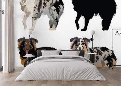 Australian Shepherd dog, side view. Cute profile logo design, popular colors, breed pet character art. Friendly dog mascot. Detailed illustration. Tan point blue merle, black and white, Black bi, tan. Wall mural