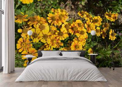 Bright yellow small garden flowers Wall mural