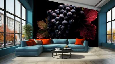 Cabernet Sauvignon is a renowned red wine grape variety.  Wall mural