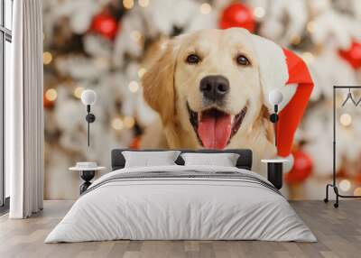 Golden retriever in santa hat, christmas Wall mural