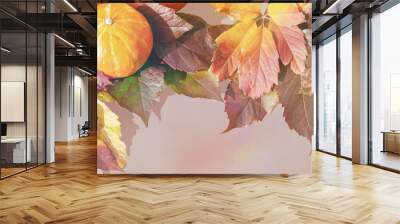 Empty brown autumn card with autumn leaves of wild grapes, sun glare, and pumpkin on a solid isolated background. Close-up, copy of the space, the apartment will lay out. Wall mural