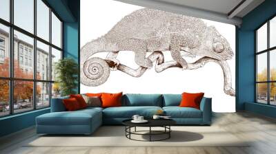 Graphic drawn chameleon isolated on white background. Design element for wallpaper, photo wallpaper, mural, card, postcard. Wall mural