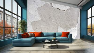 gray cement wall with crumbling plaster. Template for text. Wall mural