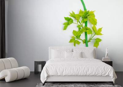 Green electric plug with green leaves on a white background, ecology concept, copy space Wall mural