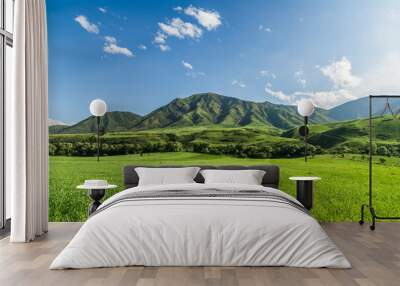 Green meadow against the backdrop of green hills. Blue sky with clouds.Journey into the wild. Wall mural