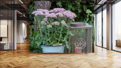 Garten-Arrangement mit pink Fetthenne im vintage Eimer Wall mural