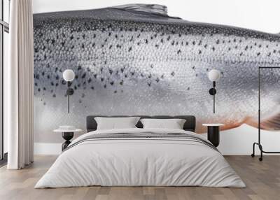 High-quality image of a whole salmon fish isolated on a white background, showcasing detailed texture. Wall mural