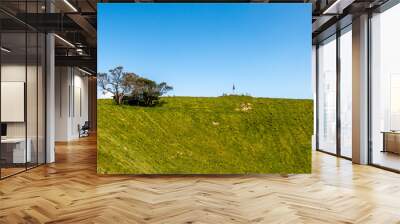 Lightning Conductor in Mount Eden, Aukland, New Zealand. Wall mural