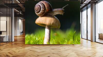 Macro photo of small brown snail sitting on the hat of fresh mushroom growing in the green mosses. Wall mural