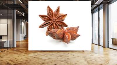 Star anise isolated on white background Wall mural