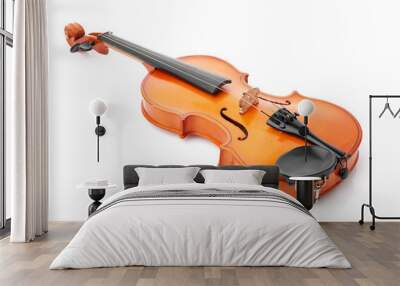 violin on white background Wall mural