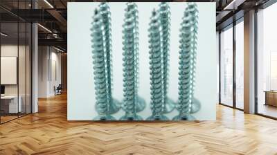 Metal screws, isolated on white Wall mural