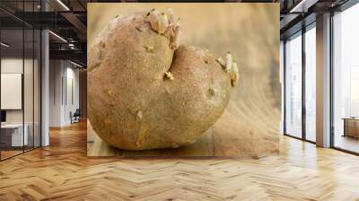 raw potato heart on brown wooden background Wall mural