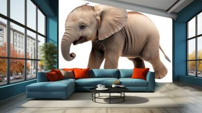 PNG Baby elephant standing Wall mural