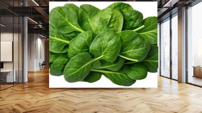 PNG Fresh spinach leaves Wall mural