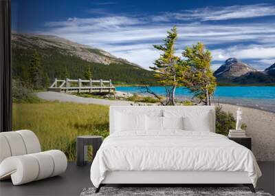 Beautiful Canadian Landscape. Photo is taken on Bow Lake, Banff Wall mural