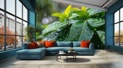 Raindrops on green leaves. AI. Wall mural