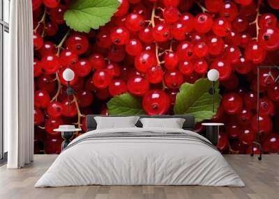 red currant berries Wall mural