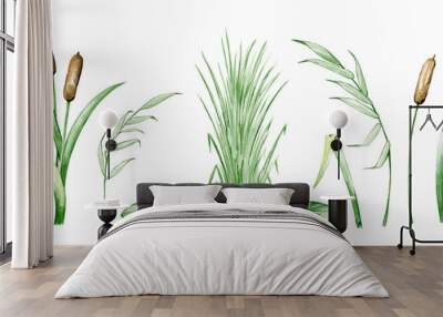 sedge reeds swamp plant set, watercolor set Wall mural