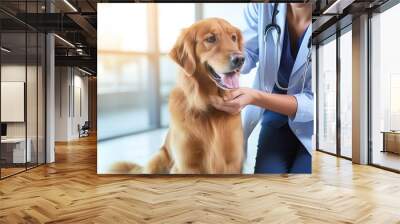 shot of a veterinarian holding the hand of her client Wall mural